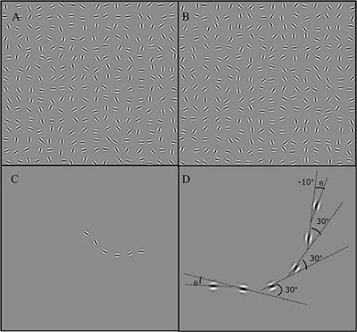 The Effect of Local Orientation Change on the Detection of Contours Defined by Constant Curvature: Psychophysics and Image Statistics